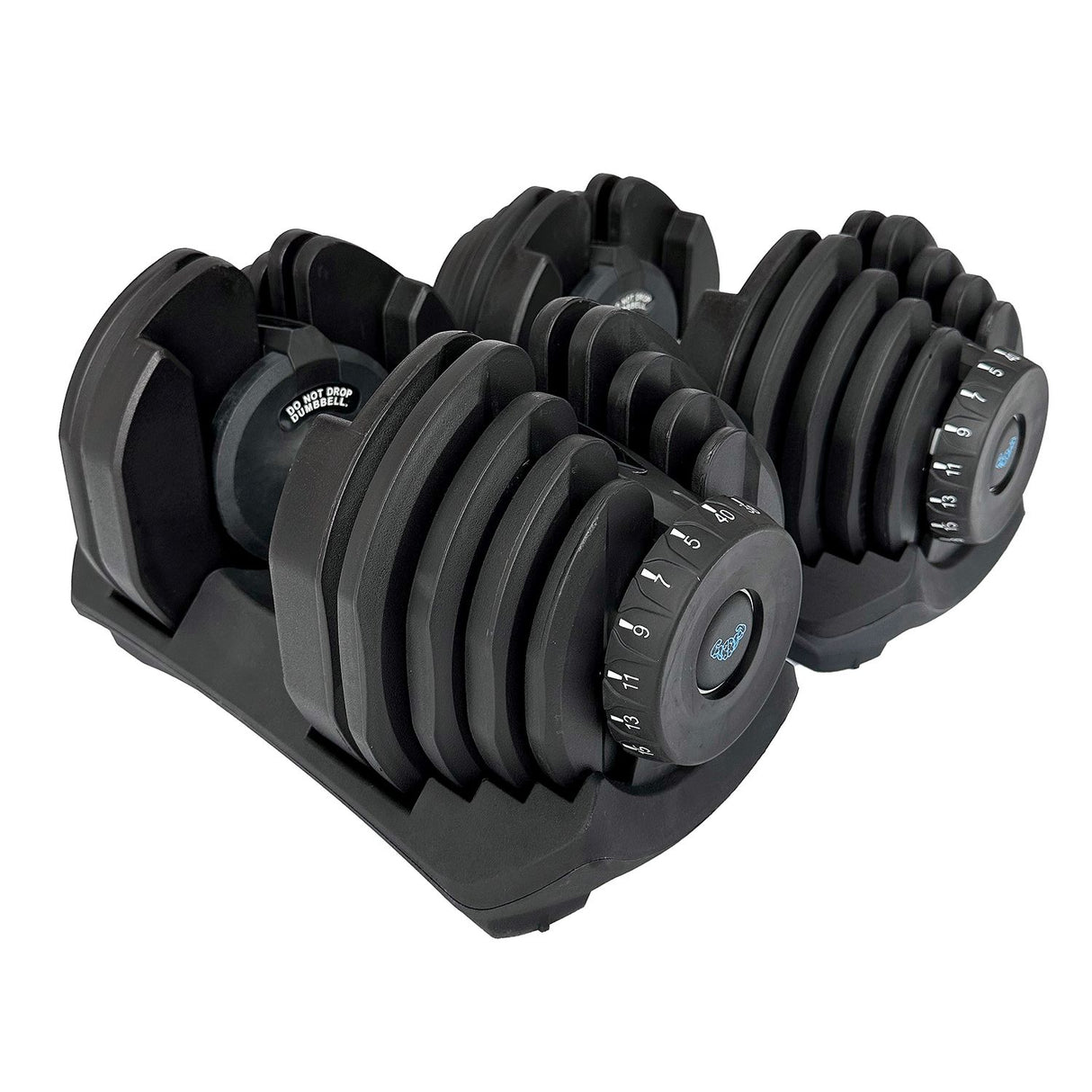 BRAINGAIN Pro Gym Bundle