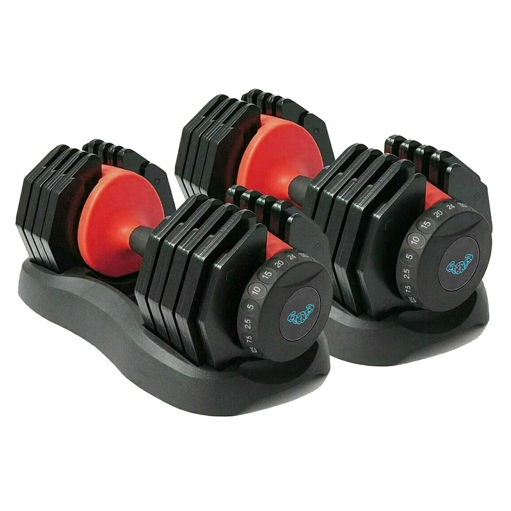 BRAINGAIN Intermediate Gym Bundle